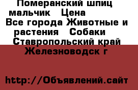 Померанский шпиц, мальчик › Цена ­ 35 000 - Все города Животные и растения » Собаки   . Ставропольский край,Железноводск г.